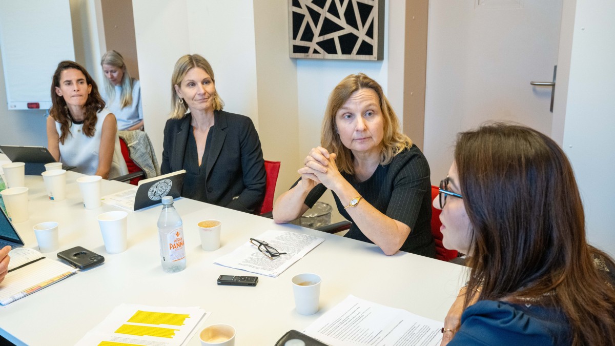 the-rise-and-fragmentation-of-sustainable-bonds-roundtable-green