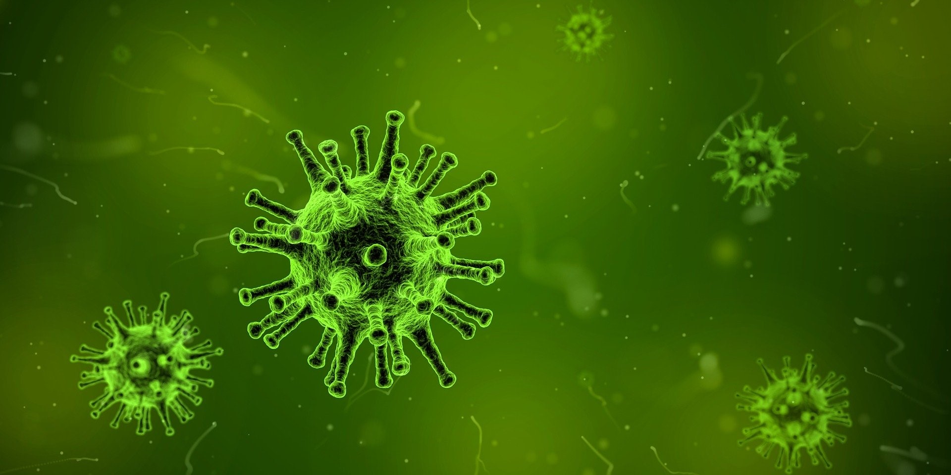 Virus.jpg Virus.jpg
