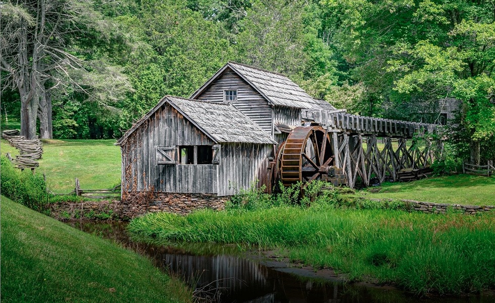 Watermolen, bosbouw, bos, biodiversiteit (Pixabay, dshap).jpg Watermolen, bosbouw, bos, biodiversiteit (Pixabay, dshap).jpg