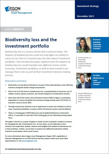 Whitepaper Aegon AM