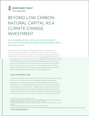 Whitepaper Northern Trust Asset Management