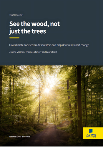 Whitepaper Aviva investors
