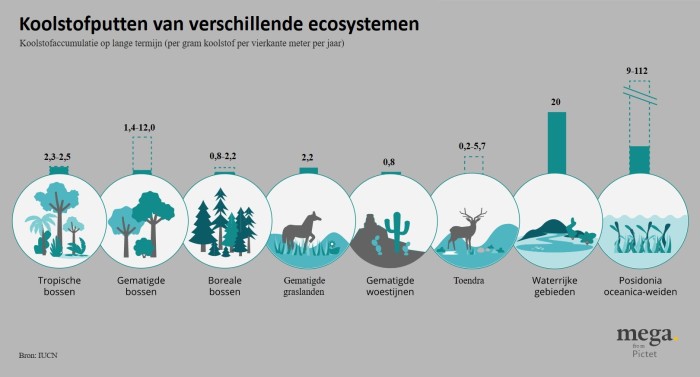 Koolstofputten van verschillende ecosystemen