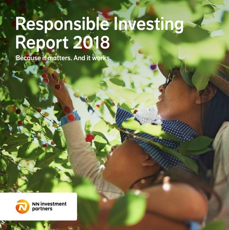 nn-investment-partners-verantwoord-beleggen-jaarverslag-2018_1_jXvA52 (1).jpg