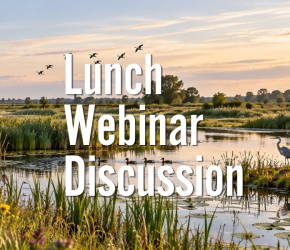 Lunch Webinar Discussie 'Biodiversity'