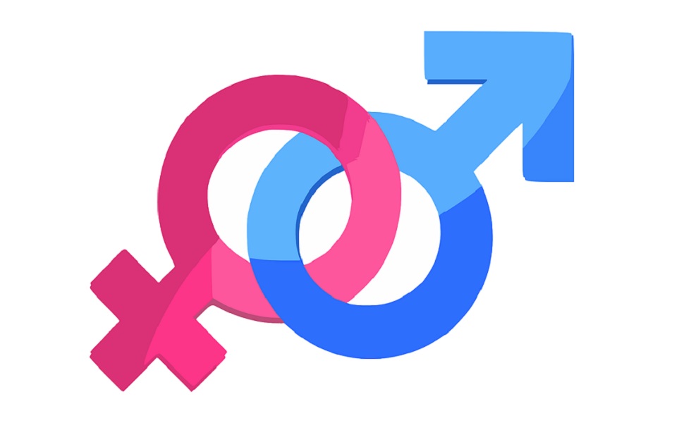 Genderdiversiteit.png