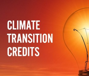 Lunch webinar discussie 'Climate Transition Credits'