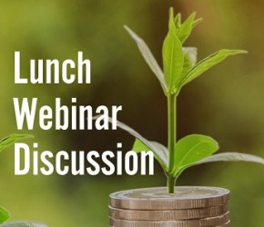 Lunch Webinar Discussie 'Sustainable Credits'
