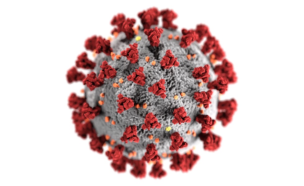 corona-virus (04) corona-virus (04)