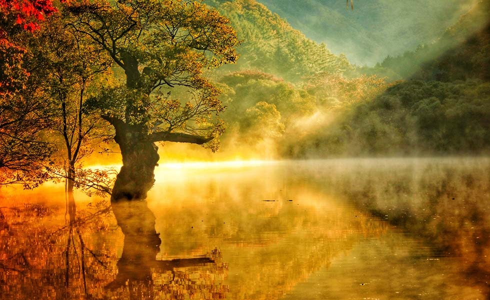 Beautiful Kumsu River Vermilion-born Cheongsong Jusan
