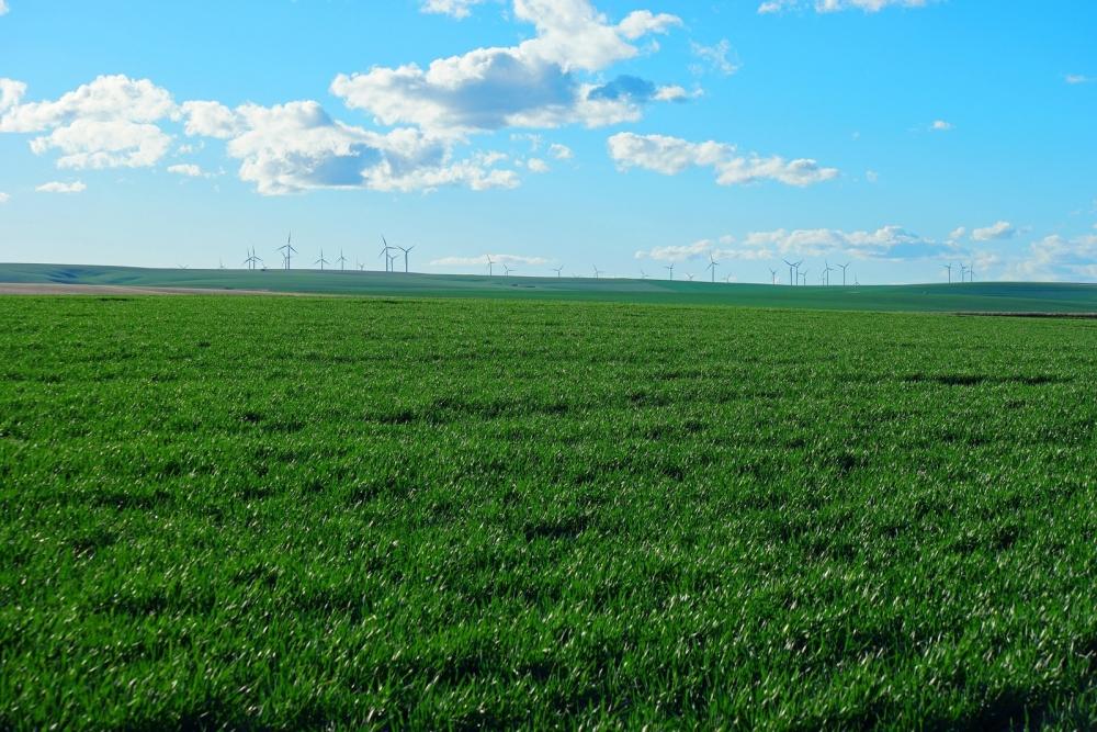 LGIM introduceert twee nieuwe ESG-fondsen voor obligaties opkomende markten