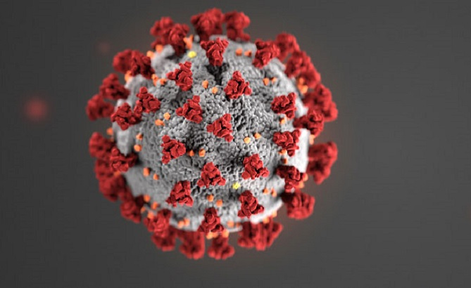 Corona-virus (02) Corona-virus (02)