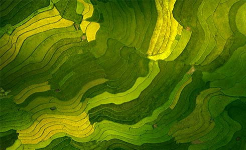 490x300 .jpg 490x300 .jpg